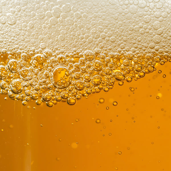 DRY HOPPED IPA