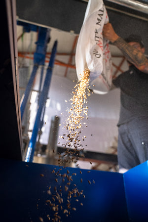 Specialty malt added to the mash tun during the craft brewing process to enhance depth, aroma, and malt character